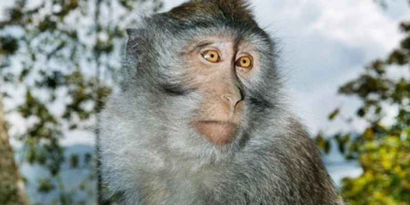 Con số này có thể mang lại sự cân bằng và giải quyết vấn đề