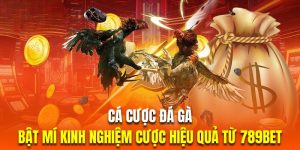 cá cược đá gà 789bet
