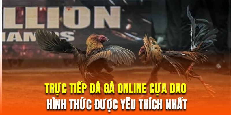 Trực tiếp đá gà online cựa dao là hình thức được yêu thích nhất